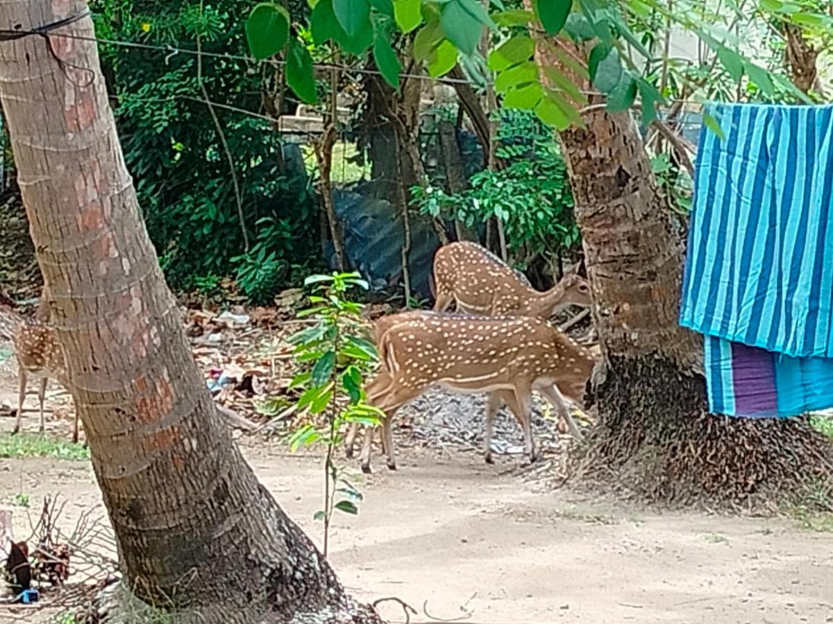 Priyanna Guest, Forest View Polonnaruwa Εξωτερικό φωτογραφία