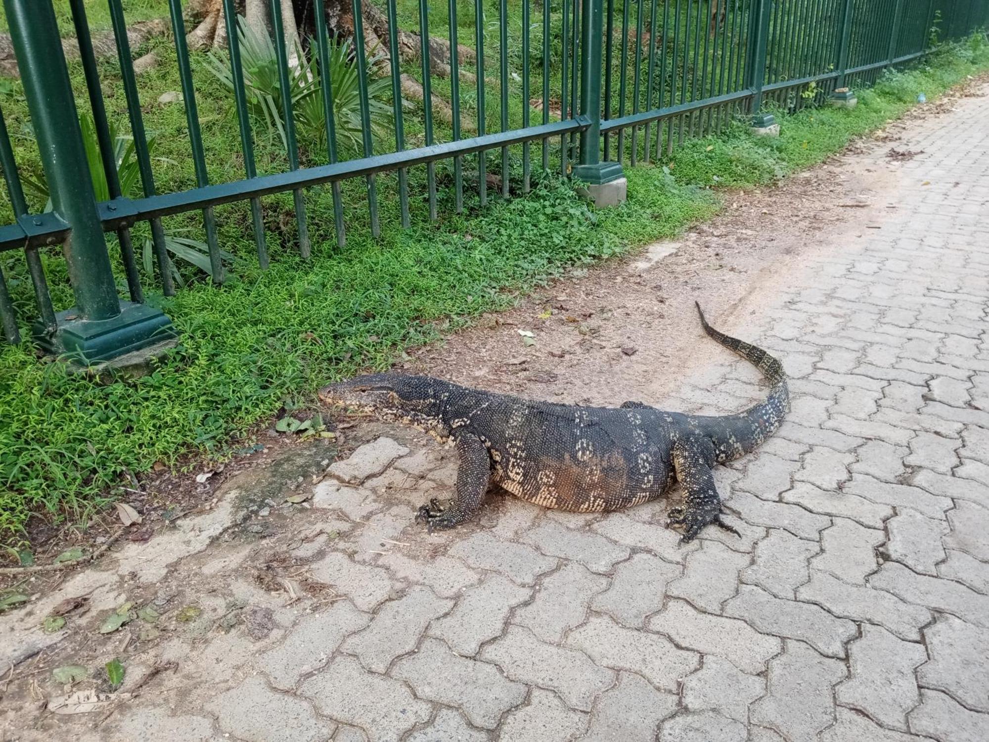 Priyanna Guest, Forest View Polonnaruwa Δωμάτιο φωτογραφία