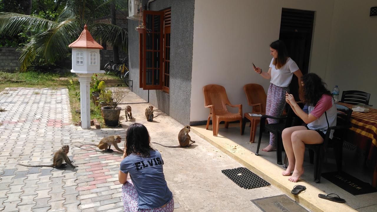 Priyanna Guest, Forest View Polonnaruwa Εξωτερικό φωτογραφία